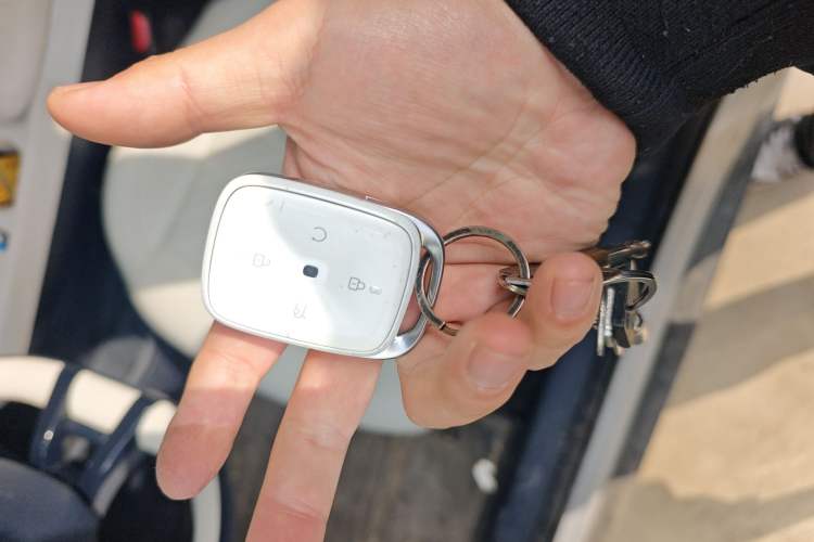 Used Leapmotor C16 2024 Range-Extended 200 Luxury Edition