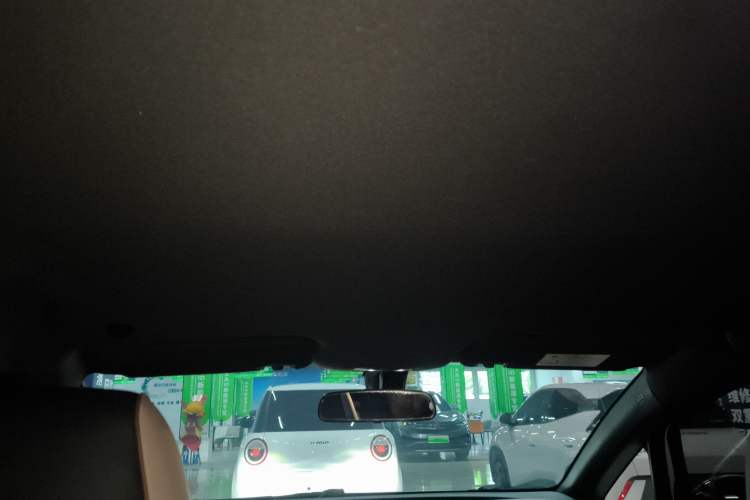 Used BYD Dolphin 2025 420km Free Edition Headliner