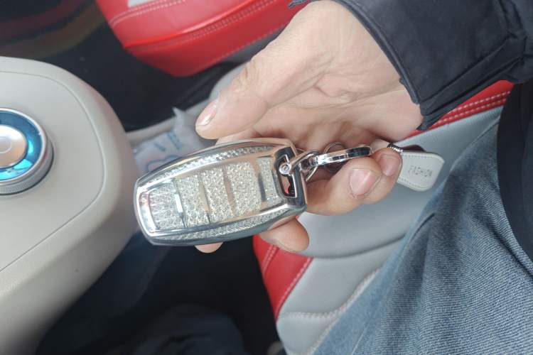 Used ORA White Cat 2020 305 km Luxury Version
