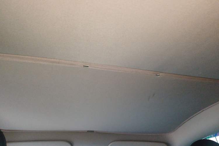 Used Tesla Model Y 2021 Standard Range Rear-Wheel Drive Version Headliner