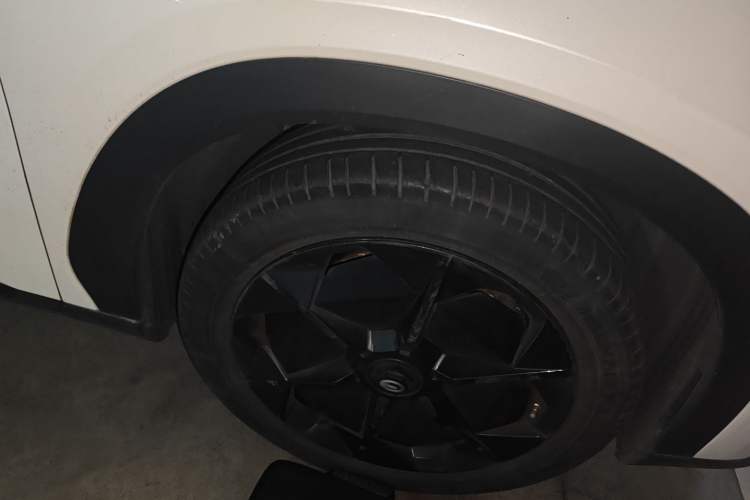 Used AION LX 2019 80D Max
