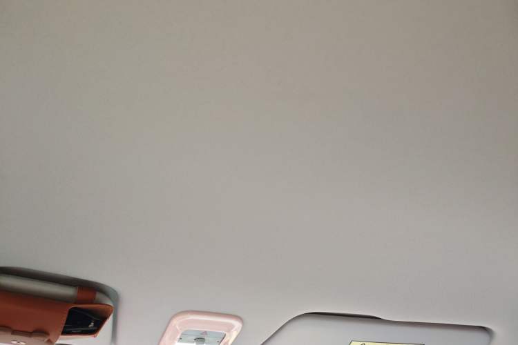 Used Wuling Air ev 2023 - Four Seats - Advanced Edition Headliner