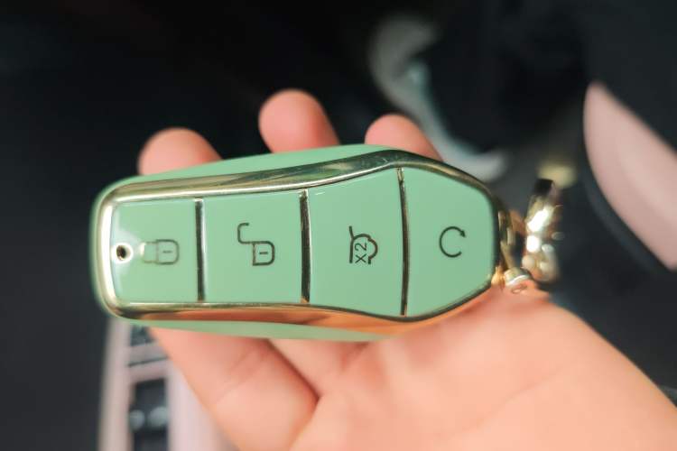 Used BYD Seagull 2023 Free Edition Vehicle Key