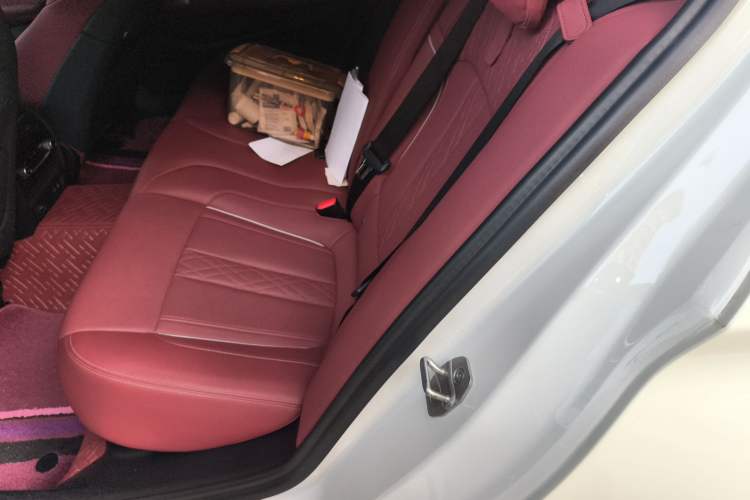 Used BMW 5 Series 2022 530Li Luxury Edition M Sport Package Left Rear Seat