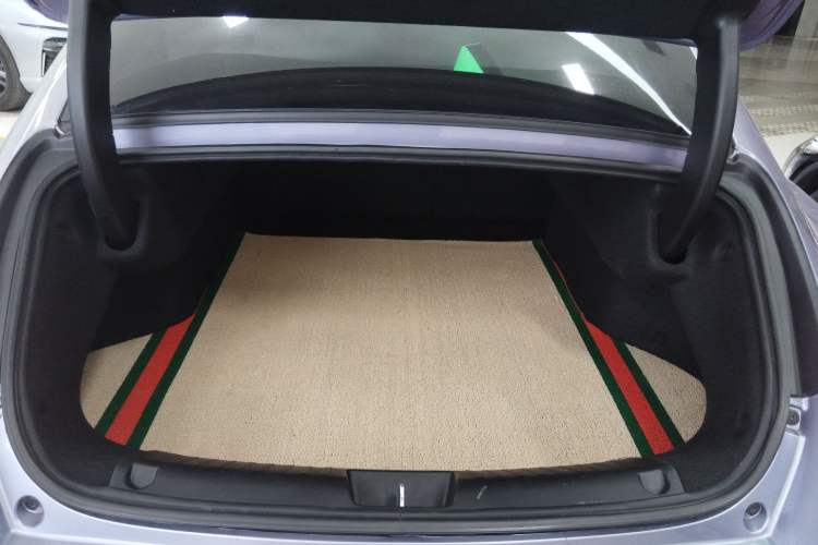 Used ORA Lightning Cat 2022 555 km Luxury Edition