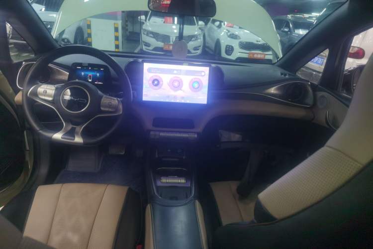 Used BYD Dolphin 2024 Honor Edition 420km Fashion Version Audio And AC Panel