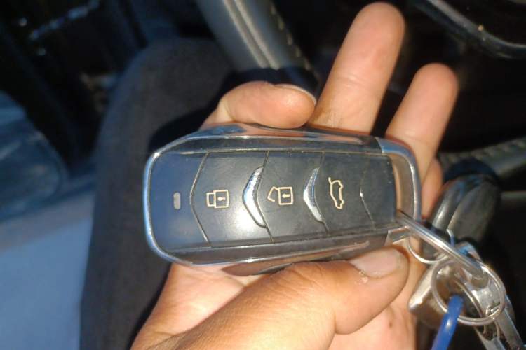 Used Landian E5 2024 Honor Edition 100KM Comfort Model 7 Seats
