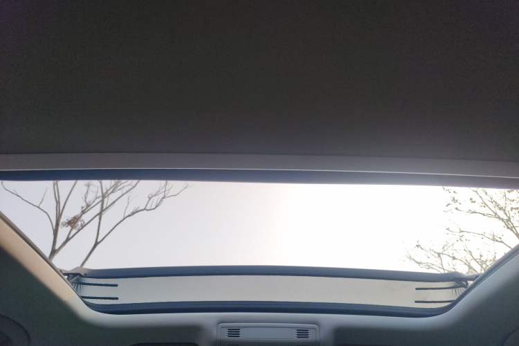 Used Volkswagen Magotan 2020 330TSI DSG Luxury Edition Headliner