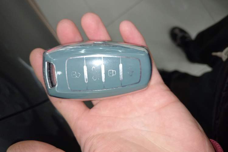 Used ORA White Cat 2022 Xiaoyue Mao Edition 360 km Luxury Model Lithium NMC Vehicle Key