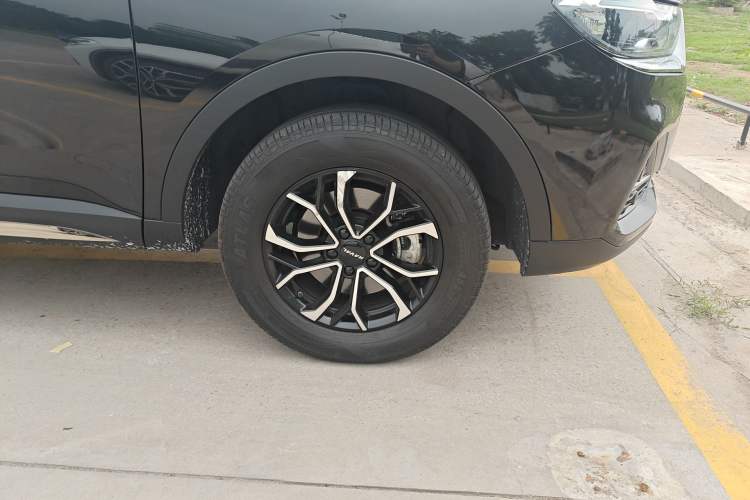 Used Haval H6 2023 National Trend Edition 1.5T Automatic Urban Version
