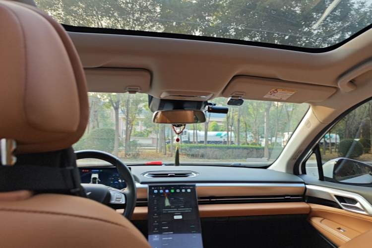 Used XPeng P5 2021 460E Headliner