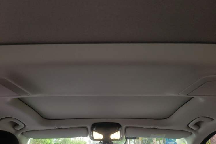 Used BMW 5 Series 2020 530Li xDrive Luxury Package Headliner