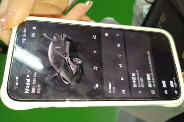 Used Tesla Model Y 2022 Rear-Wheel-Drive Version