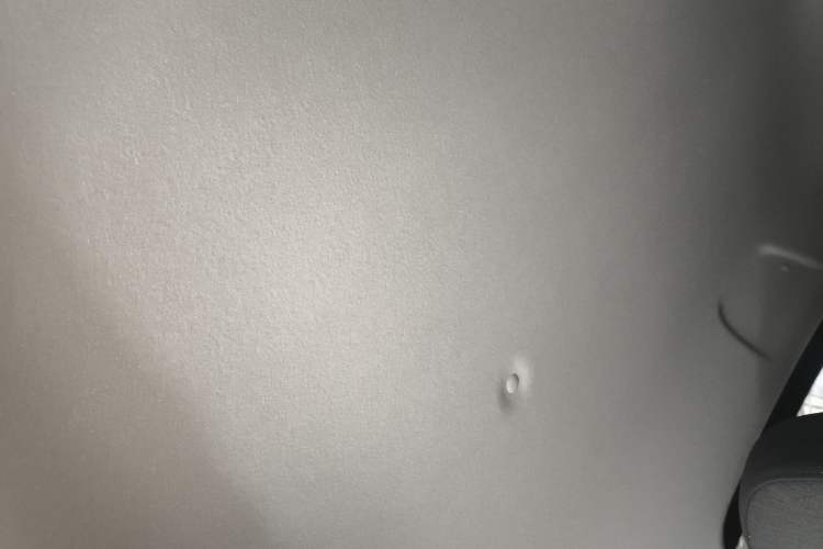 Used ORA Black Cat  Headliner