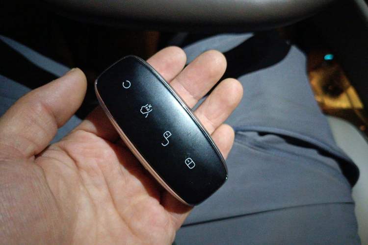 Used Denza D9 2022 DM-i 1040 Prestige Model