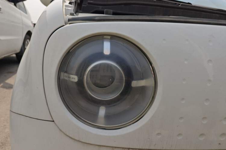 Used ORA Black Cat 2019 310 km Dynamic Edition