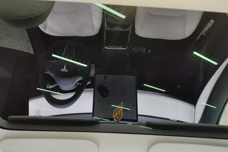 Used Tesla Model 3 2021 Performance High-Performance All-Wheel-Drive Version Headliner