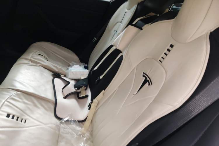 Used Tesla Model 3 2022 Rear-Wheel-Drive Version
