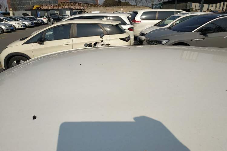 Used Oshan Benni E-Star 2020 Xinyue Edition Lithium Iron Phosphate (31.95 kWh)