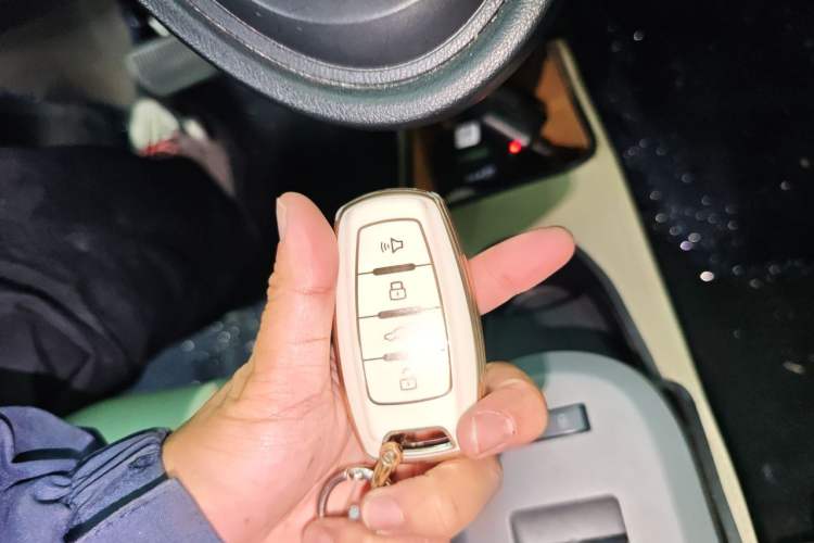 Used ORA Black Cat 2021 301 km Basic Version
