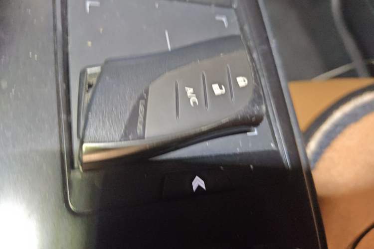 Used Lexus UX New Energy 2020 300e Pure·Joy Edition
