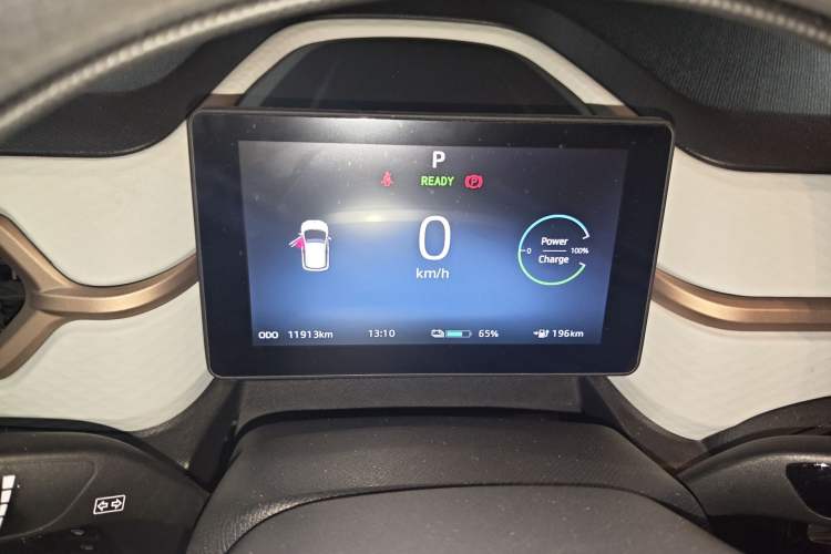 Used SOL E10X 2022 Flower Fairy Design Four-Leaf Clover