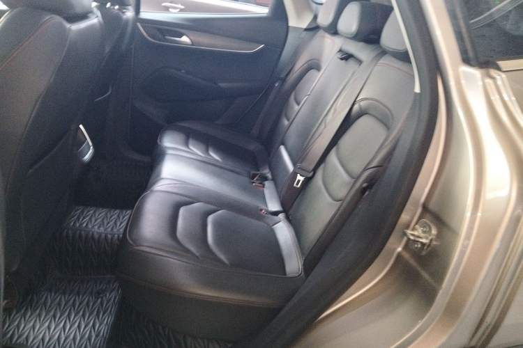 Used BORGWARD BX5 2017 20TGDI Automatic Two-Wheel Drive Pioneer Edition
