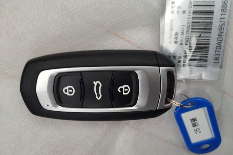 Used Geely Galaxy Panda 2024 Panda Mini 200km Endurance Bear
