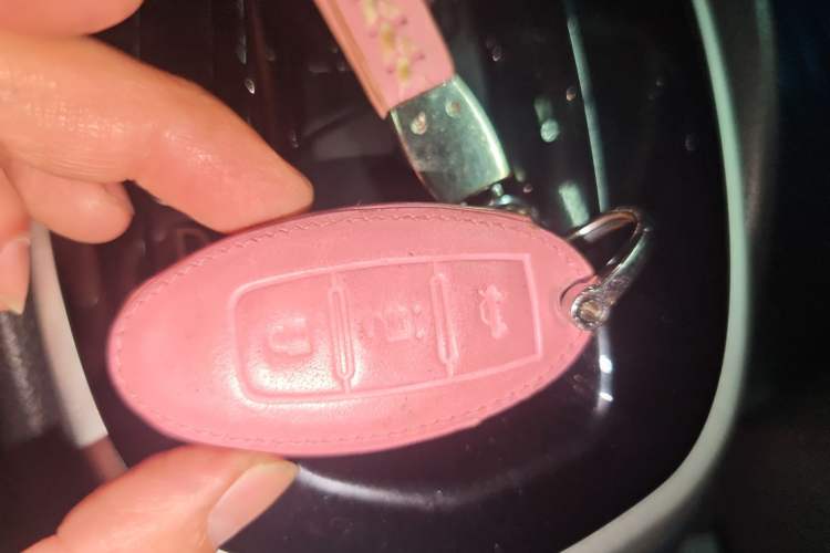 Used Nissan Qashqai 2016 2.0L CVT Elite Edition
