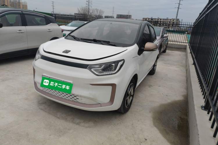 Used SOL E10X 2022 Flower Fairy Design Four-Leaf Clover
