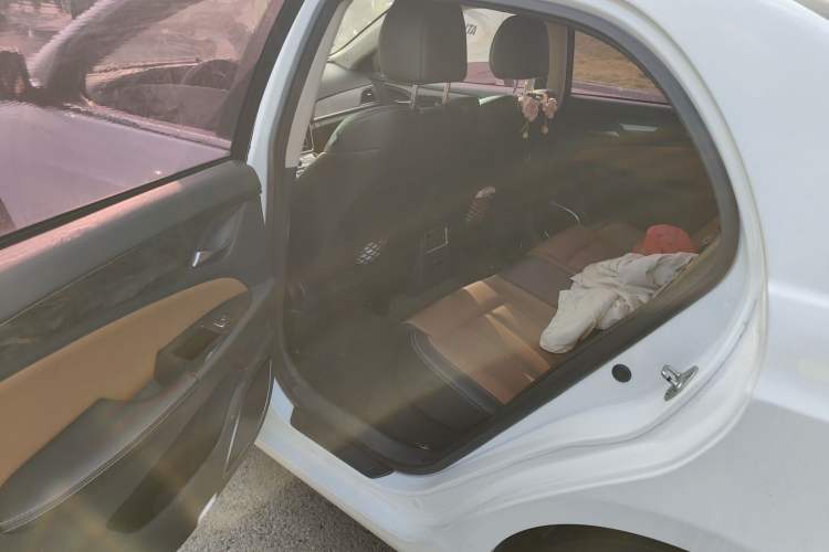 Used BYD Qin New Energy 2017 1.5T Luxury Model Left Rear Seat