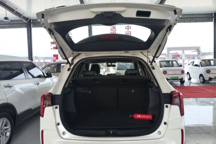 Used Venucia T60EV 2020 AI Enjoyment Model