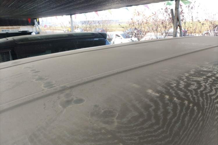 Used FORTHING Lingzhi 2019 M5L 1.6L 7-Seater Luxury Model China VI Standard
