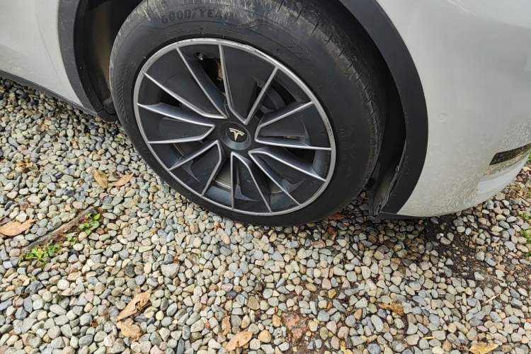 Used Tesla Model Y 2022 Revised Version Rear-Wheel Drive