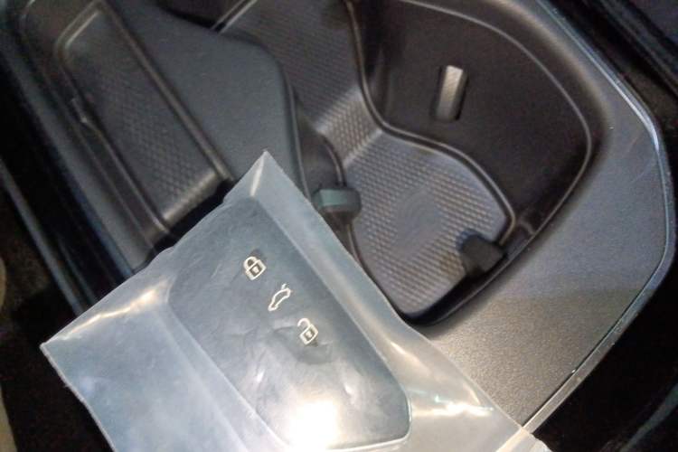 Used Volkswagen ID.4 CROZZ 2024 Pure Edition Limited Edition Vehicle Key