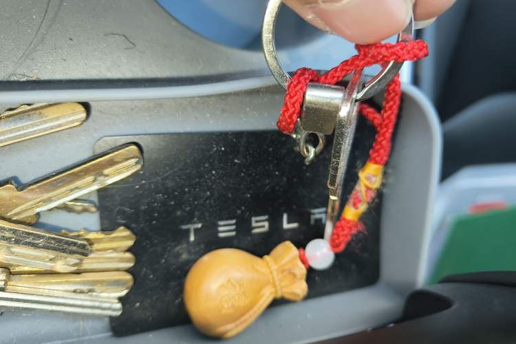 Used Tesla Model 3 2021 Standard Range Rear-Wheel Drive Upgraded Version 3D6
