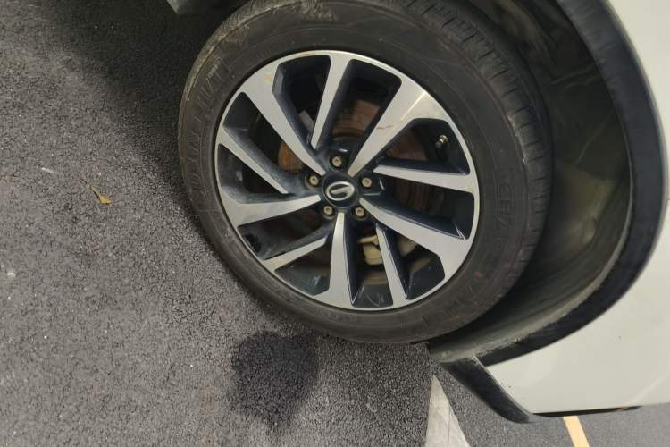 Used GAC Group Qizhi PHEV 2019 1.5L Smart Connect Premium Edition
