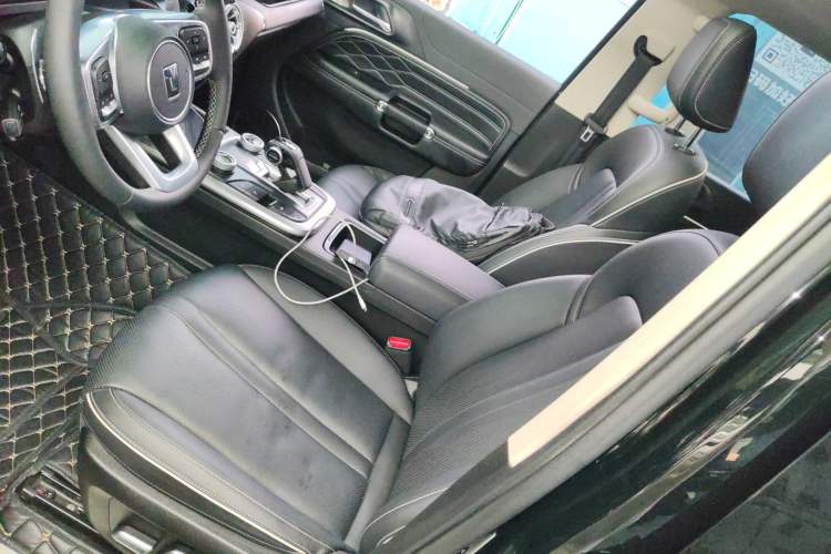 Used Tank 300 2024 2.0T Conqueror