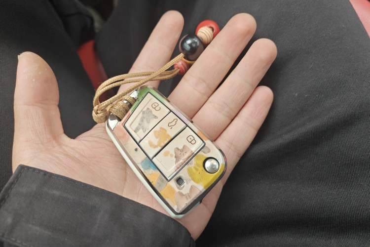 Used Volkswagen Golf 2019 280TSI DSG Comfort Version China V Standard
