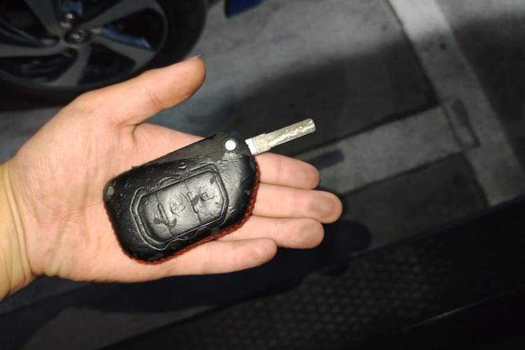 Used Jeep Wrangler 2019 2.0T Sahara Four-Door Version China VI Emission Standard
