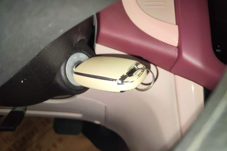 Used Oshan Benni E-Star 2021 National Edition Colorful Version Lithium Iron Phosphate (31.86 kWh)