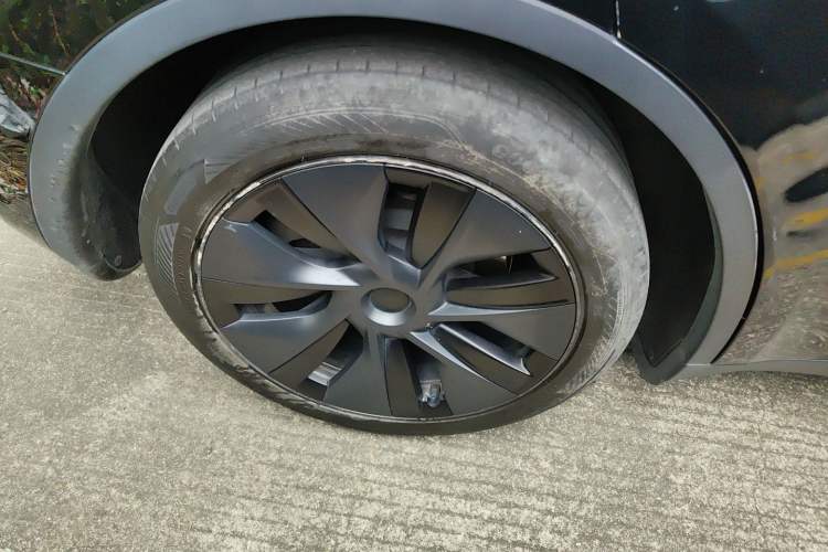 Used Tesla Model Y 2023 Rear-Wheel-Drive Version Exterior 2