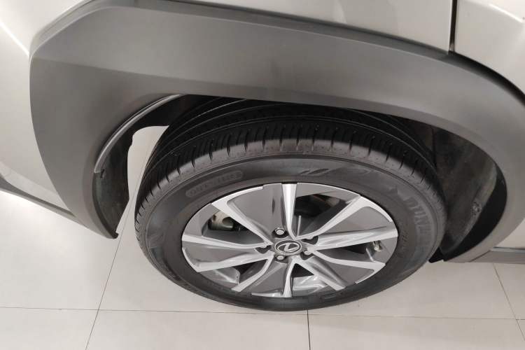 Used Lexus UX New Energy 2020 300e Pure·Joy Edition Exterior 8