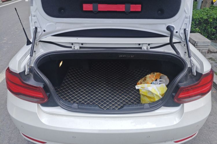 Used BMW 2 Series 2019 225i Convertible Coupe Sports Design Package