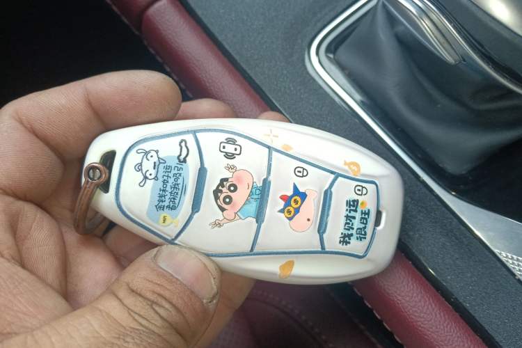 Used Hongqi H5 2024 2.0T Automatic Smart Connect Flagship Edition