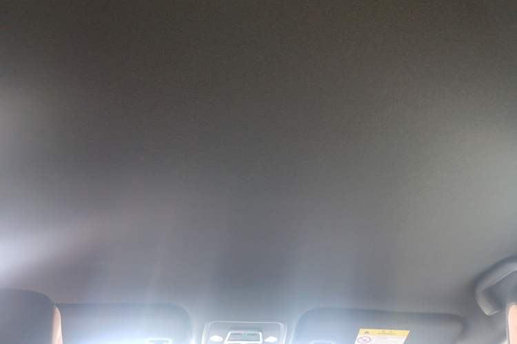 Used BYD Seagull 2025 Intelligent Driving Version 305 km Dynamic Edition Headliner