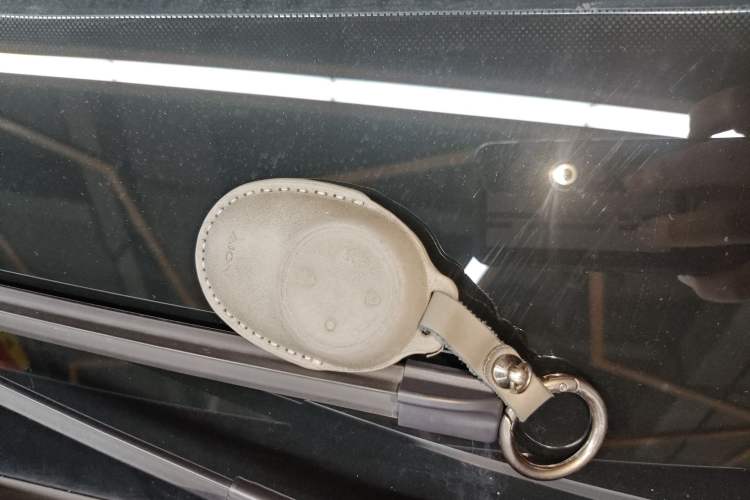 Used AION RT 2025 650 LiDAR Edition
