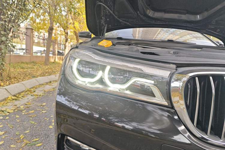 Used BMW 7 Series 2016 730Li Leading Model