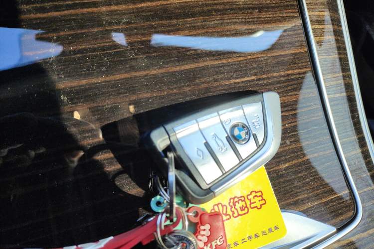 Used BMW X5 New Energy 2021 xDrive45e M Sport Package
