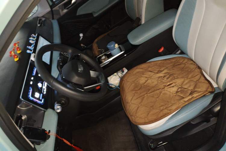 Used Geometry E Firefly 2024 301km Starlight
